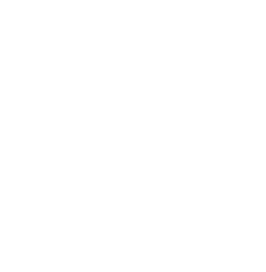 Rally Esports